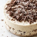 Baiser-Eistorte frisch gebacken — Eiskalte cremige Torte mit edler Borkenschokolade verziert auf weißem Marmor.