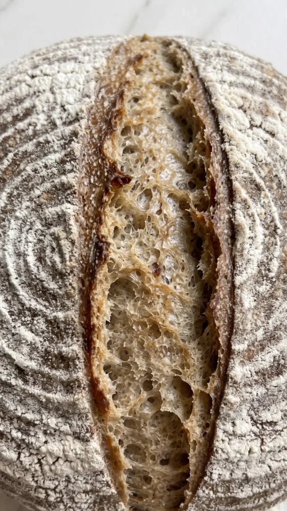 Rustikales Vollkornbrot mit Roggen und Gerste vom Backstein backen