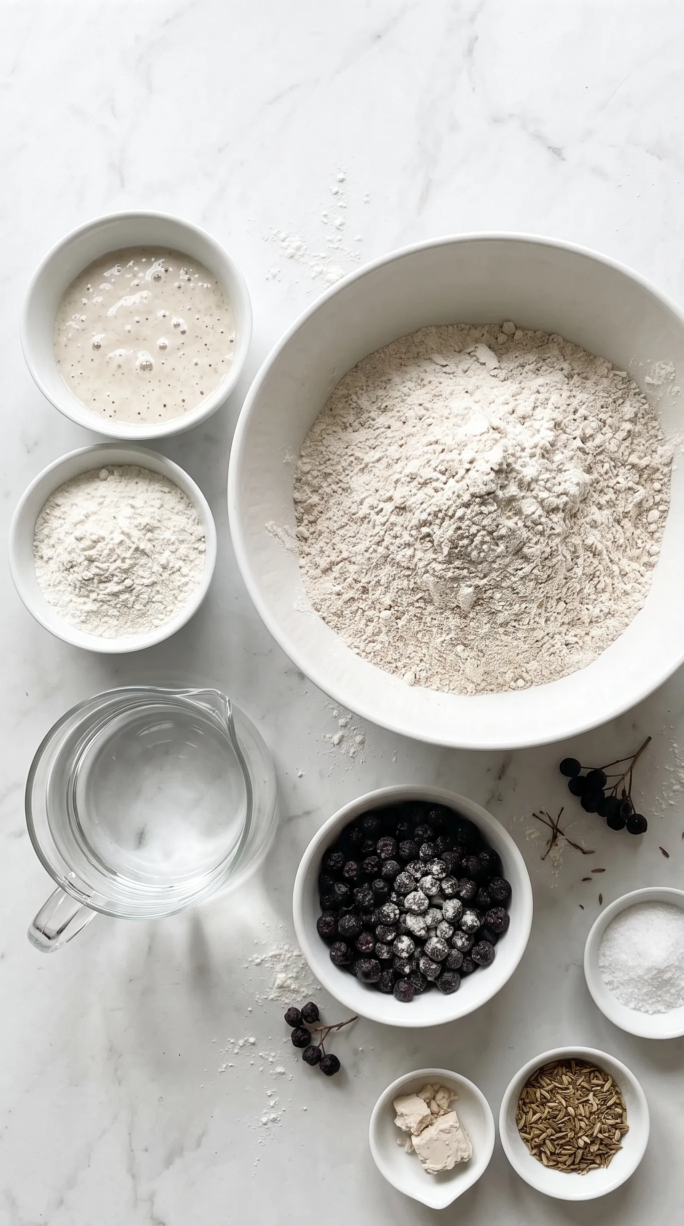 Zutaten für Aronia-Sauerteigbrot: Roggenmehl, Sauerteig und getrocknete Aroniabeeren