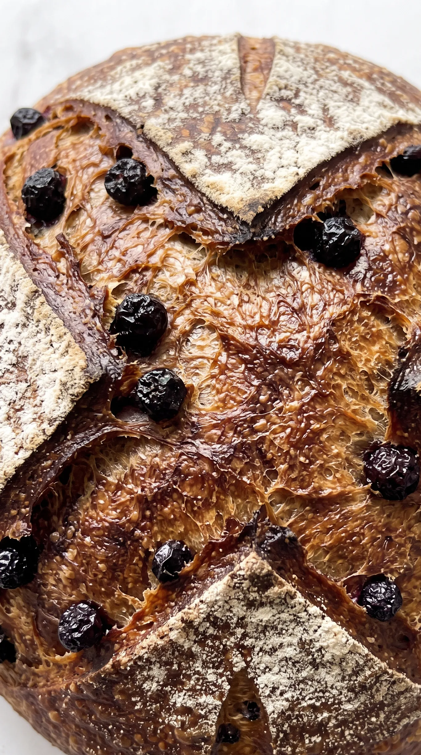 Nahaufnahme von Aronia-Sauerteigbrot — rustikale Kruste mit Aroniabeeren und Mehlstaub